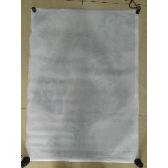 群馬大学 Media diploma